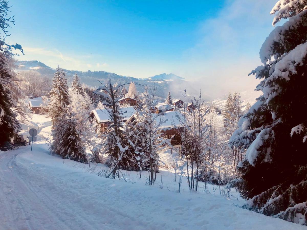 Le Chalet De Nabor Villa Les Gets Eksteriør billede